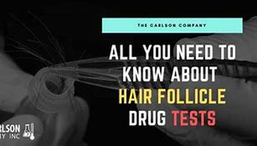 All You Need to Know about Hair Follicle Drug Testing