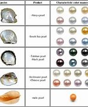 The Different Types Of Pearls Found In Jewelry