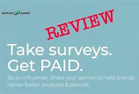 Paid Surveys  Another Earning Opportunity, Or Not