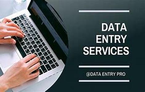 Data Entry Service  Accelerating Data Registration