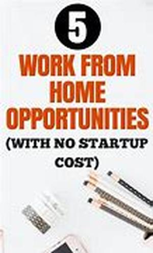 Five Tips For Successful Work At Home Business Ideas