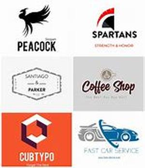 Professional Logo Design - I Don't Need One; I Am A Small Business