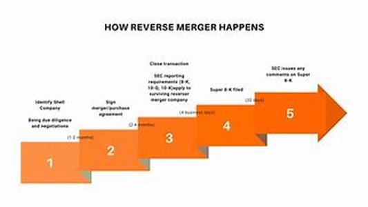 Reverse Merger: A Vision Without A Strategy Is A Prescription For Failur