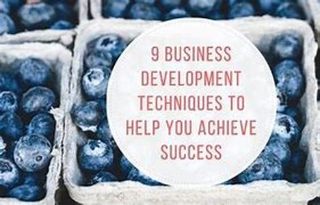 How To Achieve Business Development