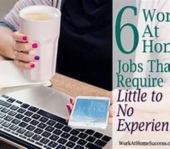 Work at Home with No Experience