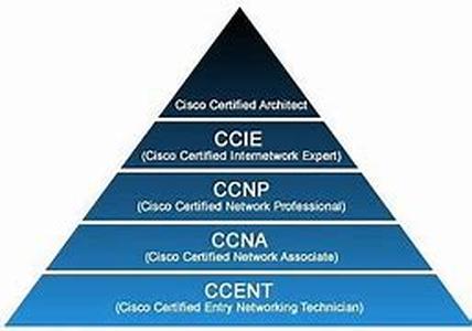 Cisco Certification:  A Survival Guide To The Cisco Cable Jungle