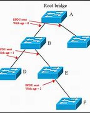 Cisco CCNA Exam Tutorial:  The Best Time To Schedule Your Exam