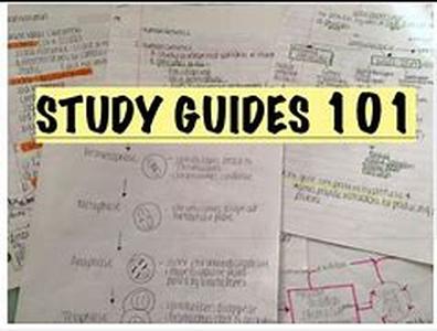 Seven Things You Should Do To Help You Prepare For Exams