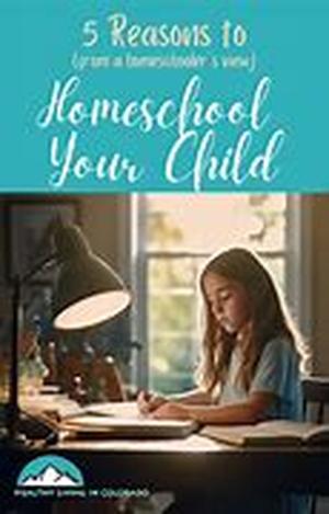 Homeschooling For Your Convenience