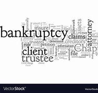 KEYWORD: bankruptcy liquidation (10)