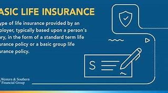 Life Insurance - Term Life Or Whole Life