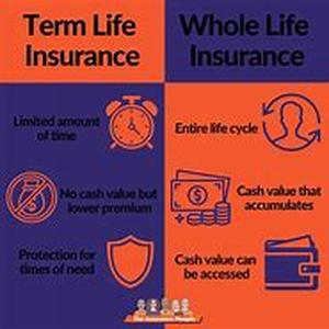 Term Life Insurance With Accidental Death And Dismemberment Rider