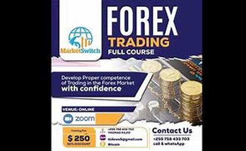 Forex Trading System Results