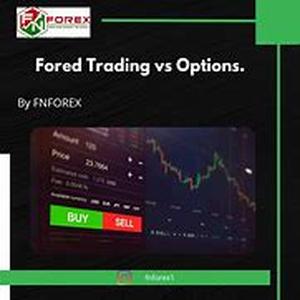 Forex Trading Lessons: A Must For Forex Beginners