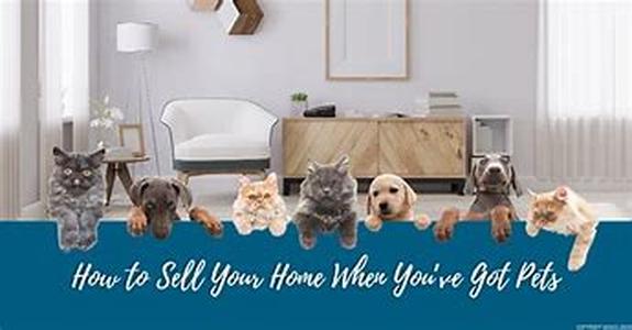 Selling Your Home  Be Sure It Shows Well