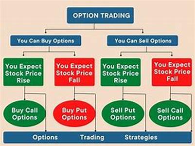 How Much Should You Borrow