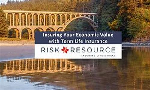 Term Life Insurance