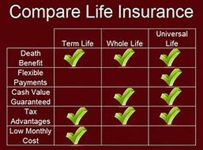 Term Insurance