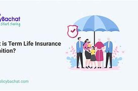 Term Life And Whole Life Insurance