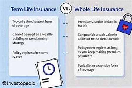 What's In A Credit Report