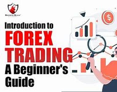 Forex Brokers:  What You Get For Your Money