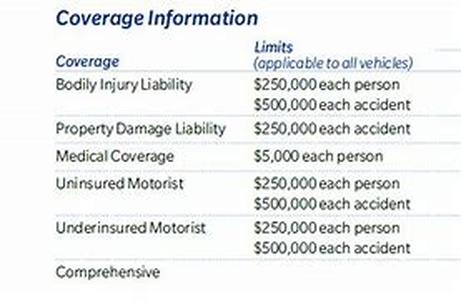 Details Of The USA Gold Card Application