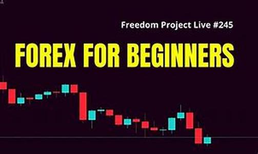 Forex Trading Lessons: A Must For Forex Beginners