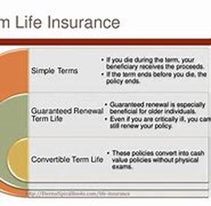 Life Insurance - A Beginners Guide