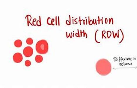 Hematology and Oncology