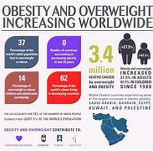 Key Words: obesity and diabetes