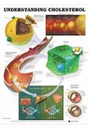 Cholesterol and Lowering HDL