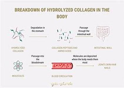 Cold Laser Technology: How a Low Level Laser Promotes Healing