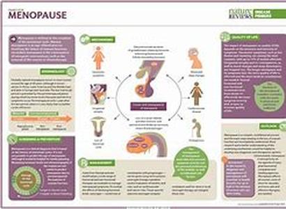 Menopause And Progesterone