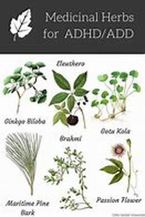 Herbal Medicines