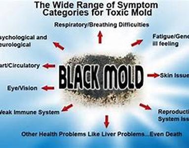 What Is Malaria  What Can Be Done If I Contract It