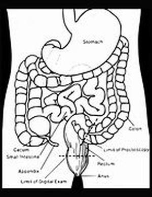 Colloidal Silver Uses  For thousands of years, colloidal silver has been used as a treatment for a variety of illnesses