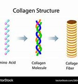 Collagen Injection  Summary: The procedure of collagen injections is less difficult and provides less discomfort for an effective result