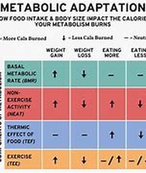 How I Lost 51 Pounds In 4 Months Using The Simplest Diet Plan In The World