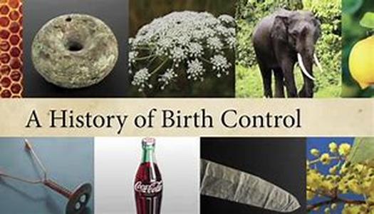 Birth Control Pills and the Era of Seasonal Menstruation