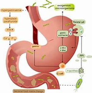 Information Overload-Consumers Seek Easy Ways To Understand Nutrition Information