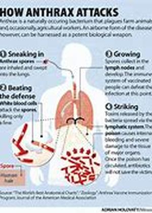 Acupuncture Treatment To Quit Smoking - Does It Actually Work