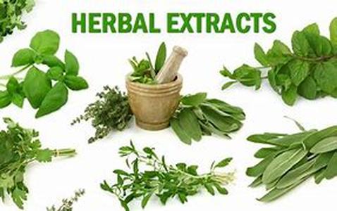 Herbal Cure for Diabetes