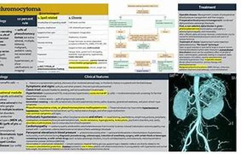 Phentermine a Strategic Step Towards Weight Loss