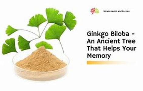 Ginkgo Biloba Side Effects