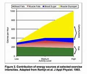 Exercise And Sleeping Better