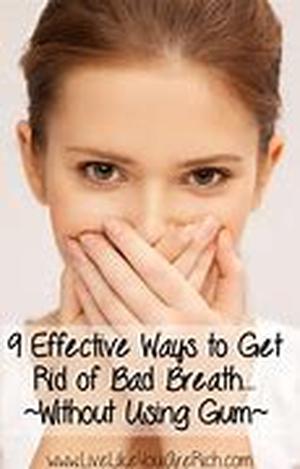 Stopping The Pain Of Toothaches