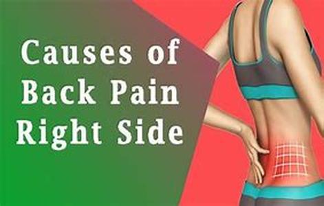 Back Exercise Stretches For Back Pain