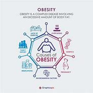 Key Words: obesity calculator