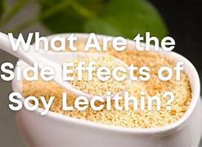 Lecithin and Choline