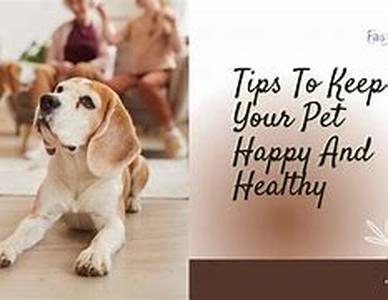 Pet Health Insurance in California